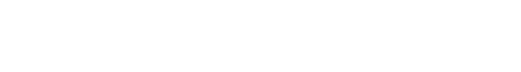 MetroFibre